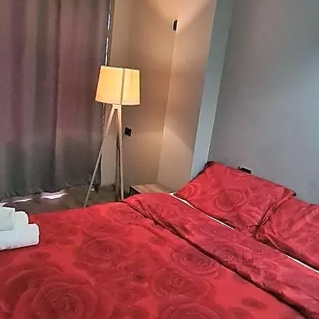 Driti تيرانا
